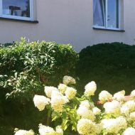Dom na sprzedaż